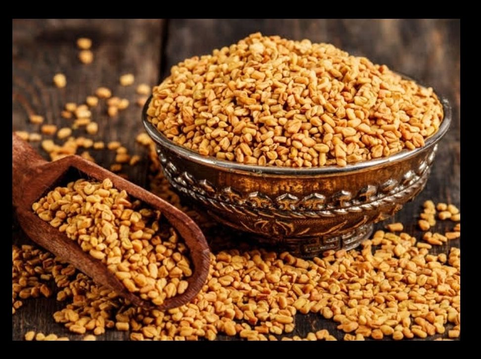 Fenugreek Seed - 500 Gm