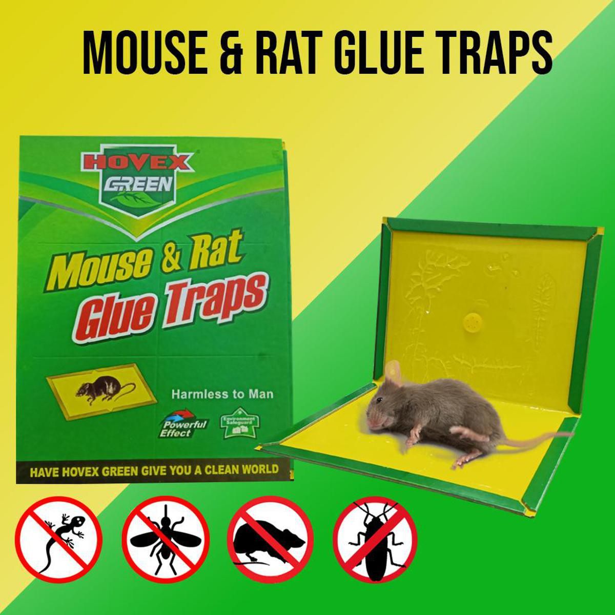 Mouse and Rat Glue Tape 1 Piece