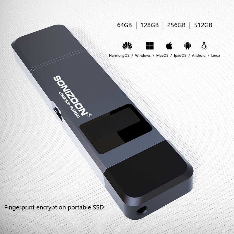 Fingerprint Encryption Portable SSD 128/256/512GBWrite Protection Function Solid State USB Flash Drive TPYEC3.2 Pen Drive USB3.2. 