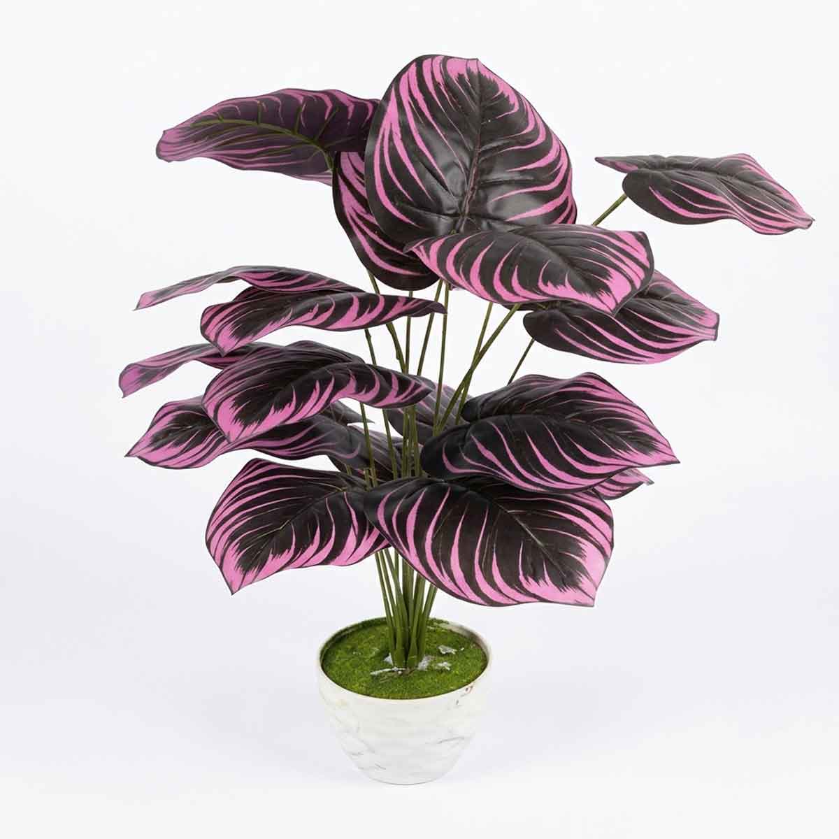 Artificial Calathea
