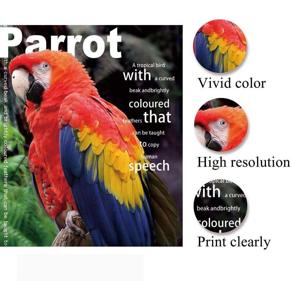 A4 200g 20 Sheets Photo Paper Glossy Wholesale Printer Photographic Paper for Inkjet Printer Photo Studio Paper Office Supplies. 
