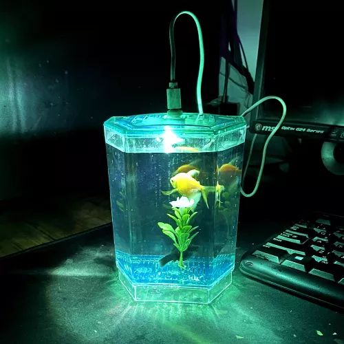 Betta House (Single House With Light) For Fish. 