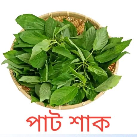 Best Quality pat Shak 20 gm seed,