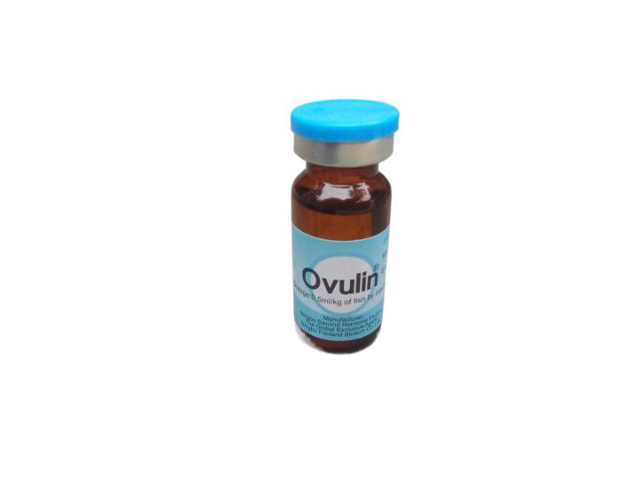 Ovulin All Fish Breeding Hormone 10ml liquid injection, Spawpro Hormone, ovatide Hormone , Ovaprime Hormone, All Fish Breeding Hormone injection, Breeding injection, 10ml baiel, 100% working Hormone, liquid Hormone, liquid pg,. 