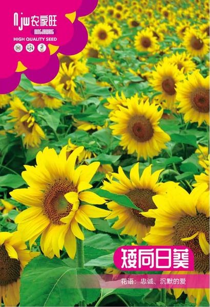 SUNFLOWERT SEEDS, INTACT PACKET - 30 SEES