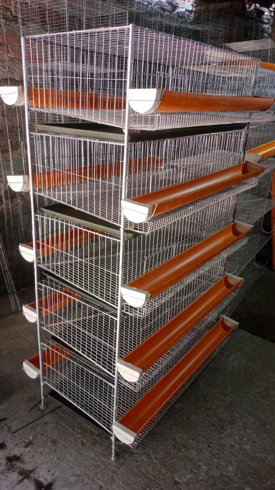 4 floor Koel Bird Cage With Tray for 300 Birds Can Easily Stay Together Cage Size 36"/18"/10-9"  Cash on delivery available. 