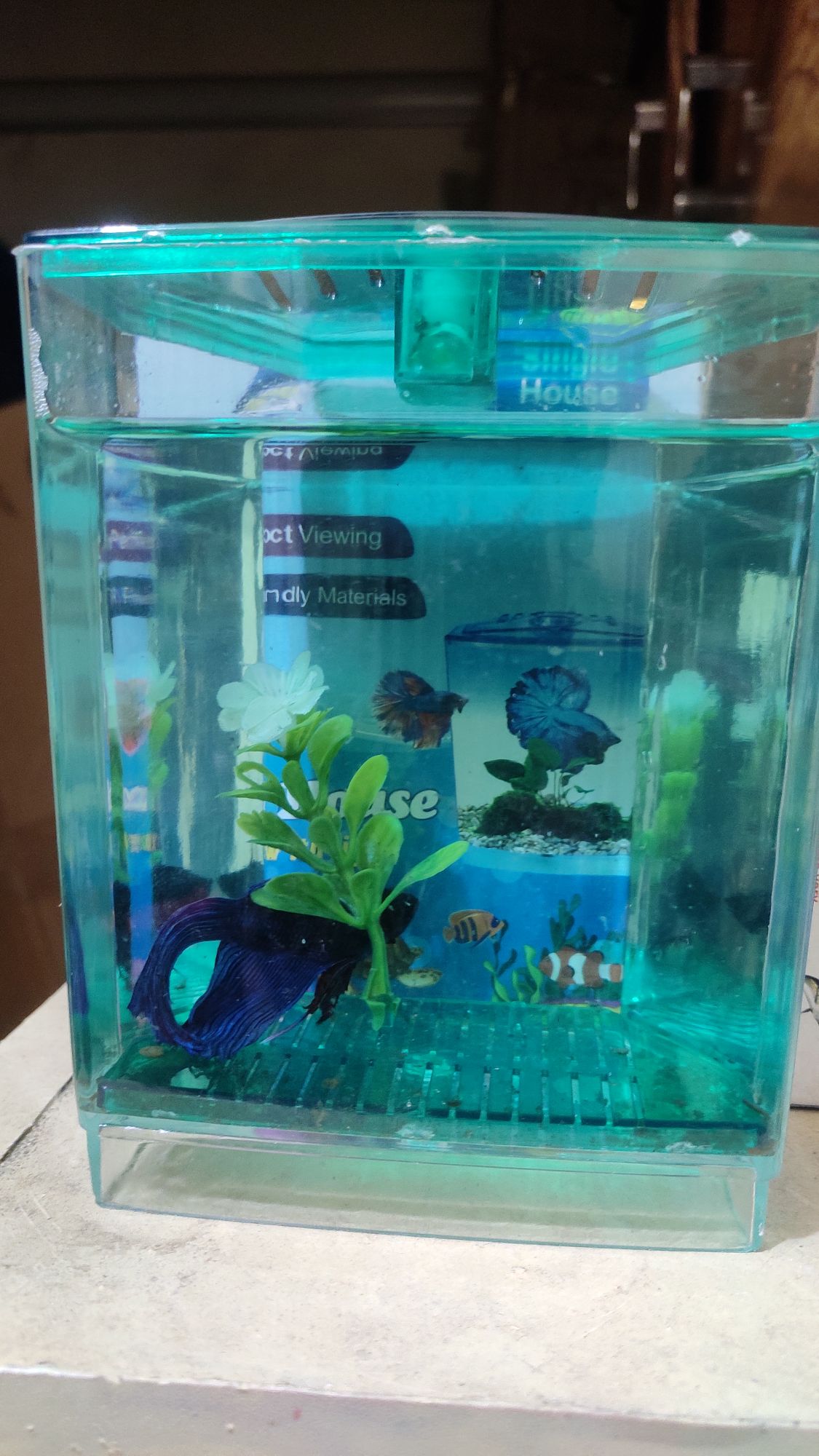 Betta House (Single House With Light) For Fish. 