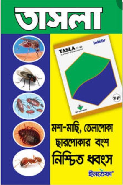 Tasla 10wp 5 Pack (30gm). 