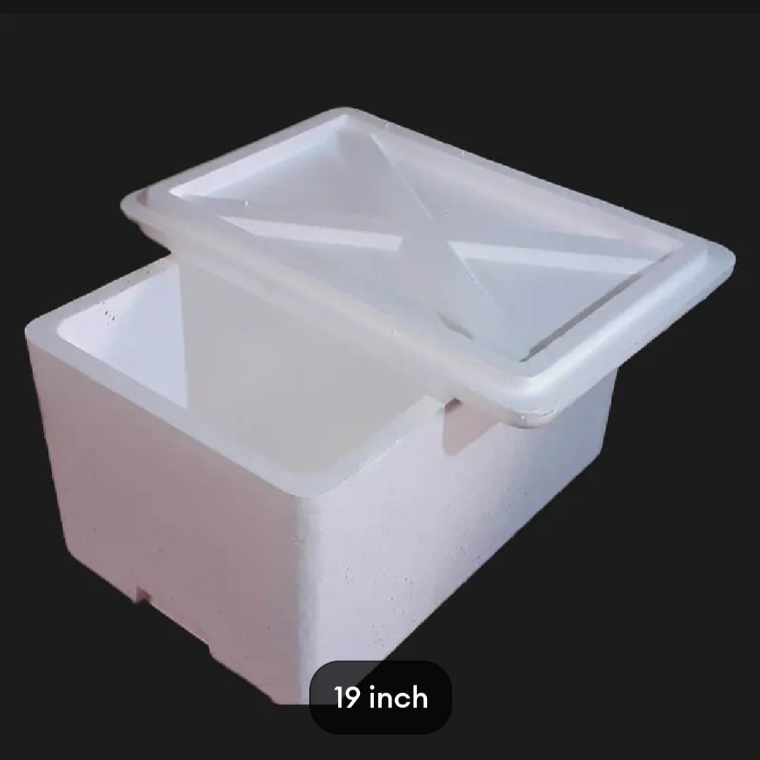 corksheet box for fish Leefasy Viewing Box,Acrylic Fish Breeding Box,Fishing Photo Tank,Hatching Boxes, Clear Micro Landscape Fish Tank with Scale : Pet Supplies helping to create a healthy indoor air quality. Smartbakingbd-Big Size Cork Sheet Box