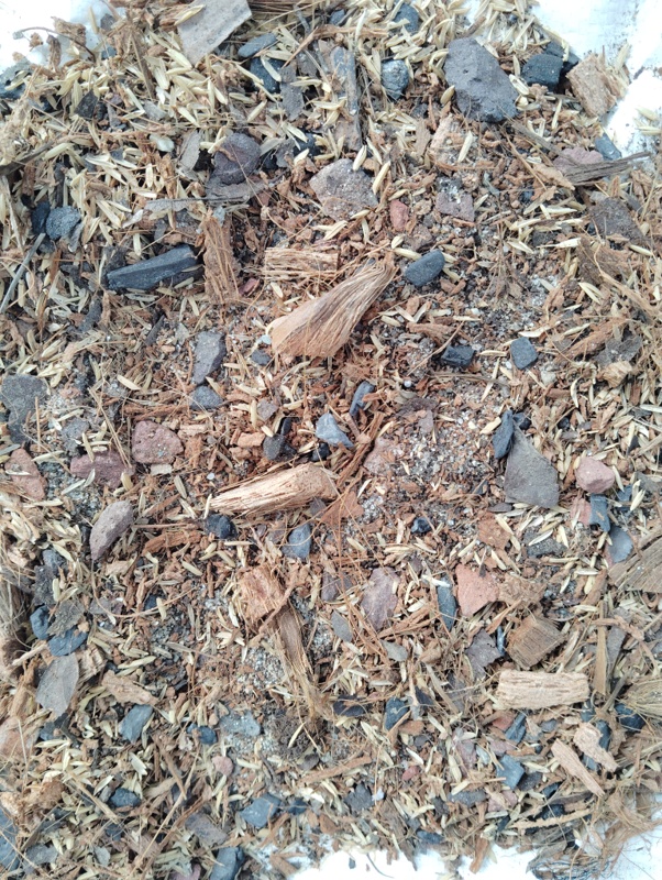 Pothos soil arial root media 1.5 kg premium quality. 