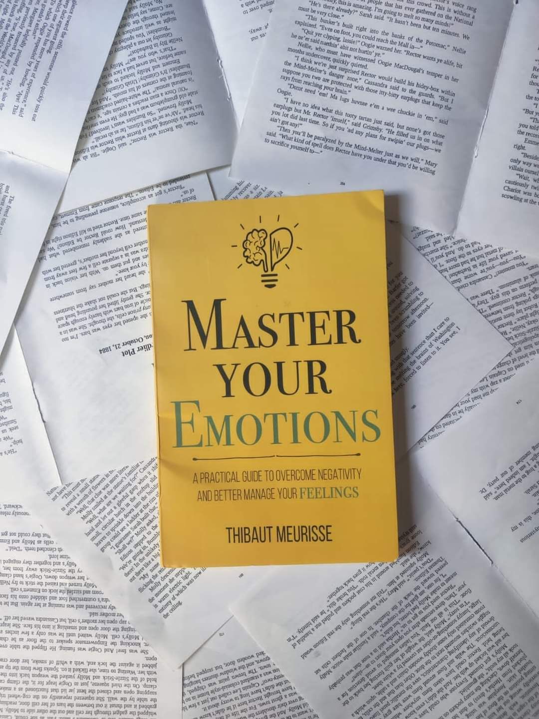 Master Your Emotions: A Practical Guide to Overcome Negativity and Better Manage Your Feelings by Thibaut Meurisse
