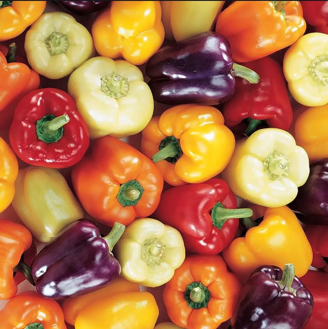 High Quality Capcicum 6 Colorful Capsicum Mix Seeds Green/red/yellow mix seed (50 seeds)/seeds/seed/bij/ seeds of plants. 