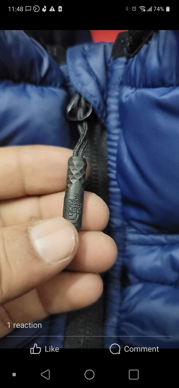 The North face Feather  jacket 800 series. 
