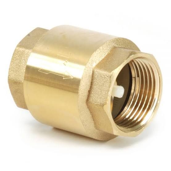 spring check valve 1