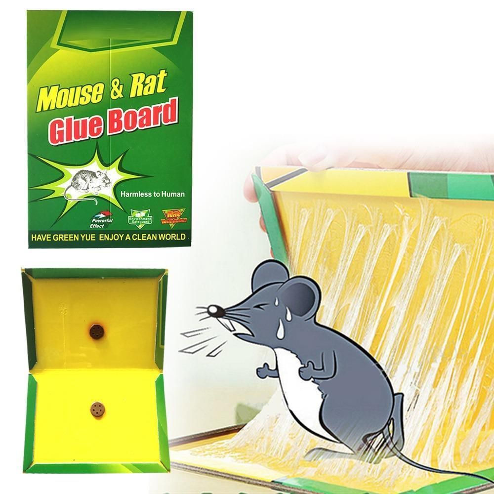 Mouse and Rat Glue Tape 1 Piece. 