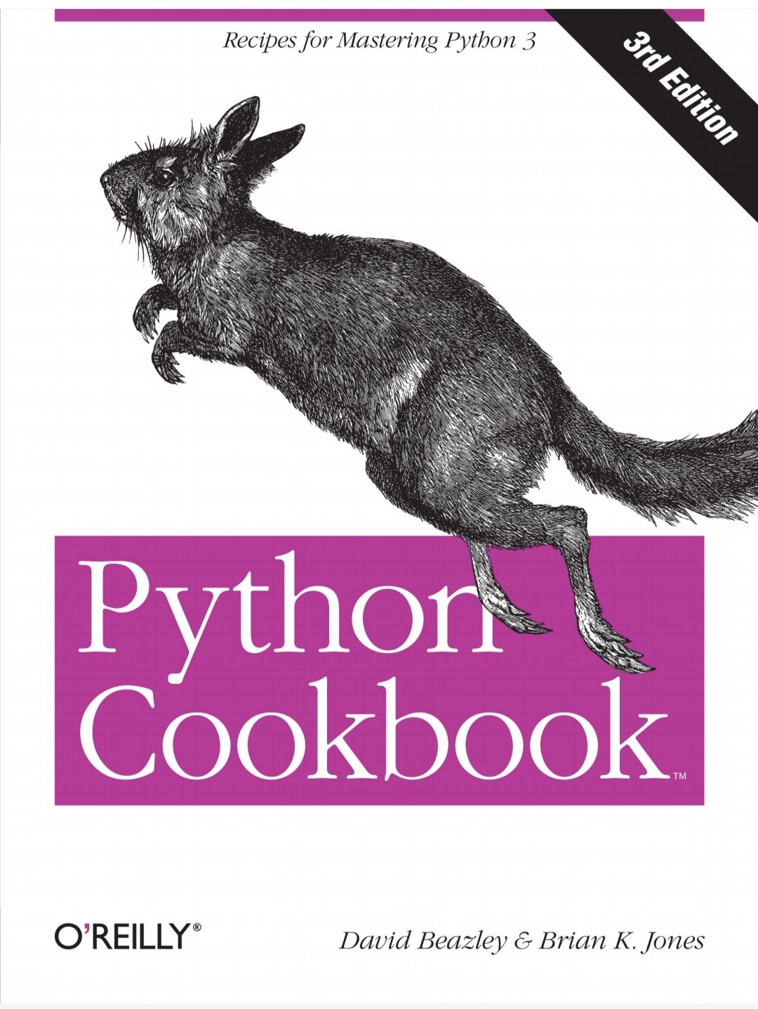 Python Cookbook (Black and white)
