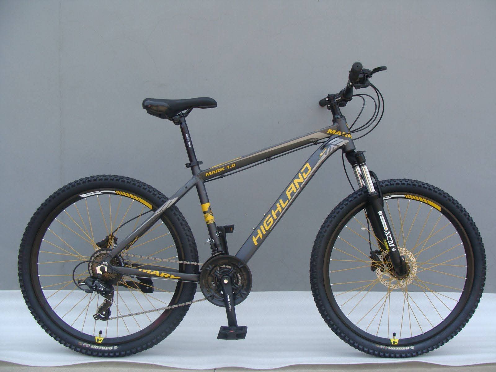 26 inchi 21 Speed Gear Cycle With Suspension Lockout fork High Rim Coloring Fat Spoke With Shimano Parts