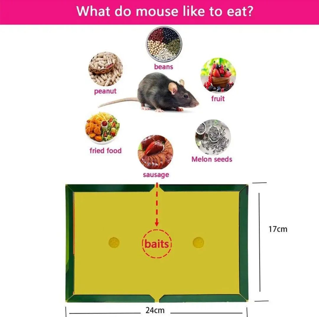 China rat eighteen traps mouse and rat-1 pice -Great to Have. Size- Big, Medium, Small.. 