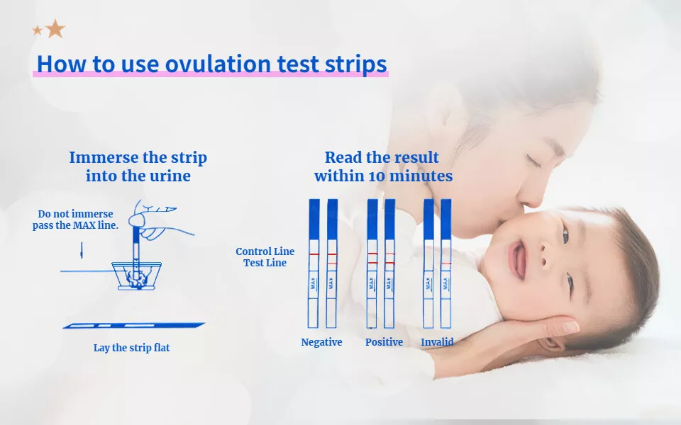 30 Pcs Ovulation( LH) Test kit /  Strip Paper Urine Tester Kit Rapid Display Female Health Tool. Home detection stick kit Ovulation test kits. Conceive Time Finder.. 