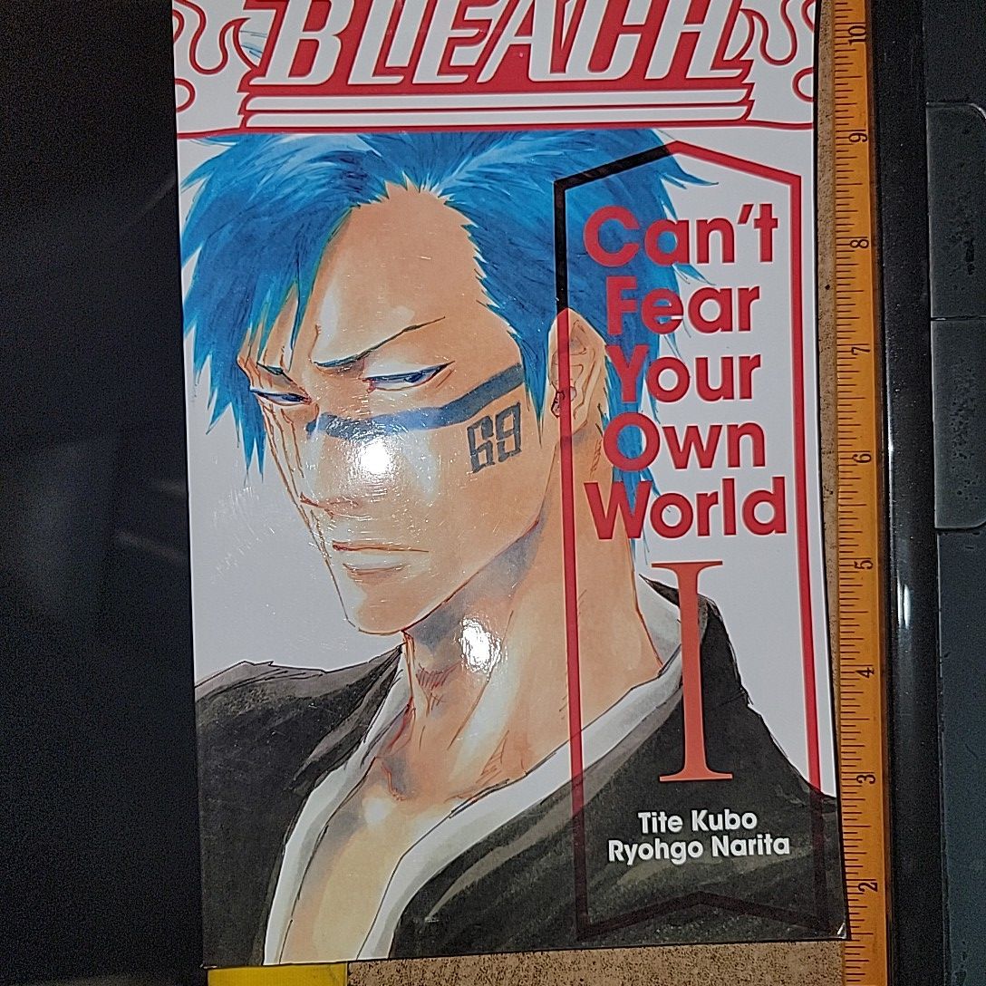 Bleach Can't Fear Your Own World By Tite Kubo & Ryohgo Narita | Daraz