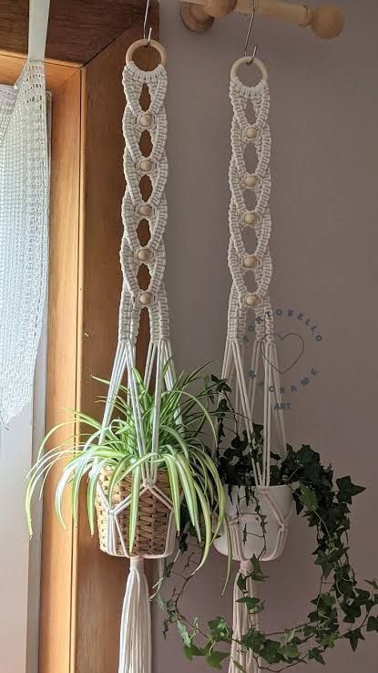 Macrame plant wall hanging