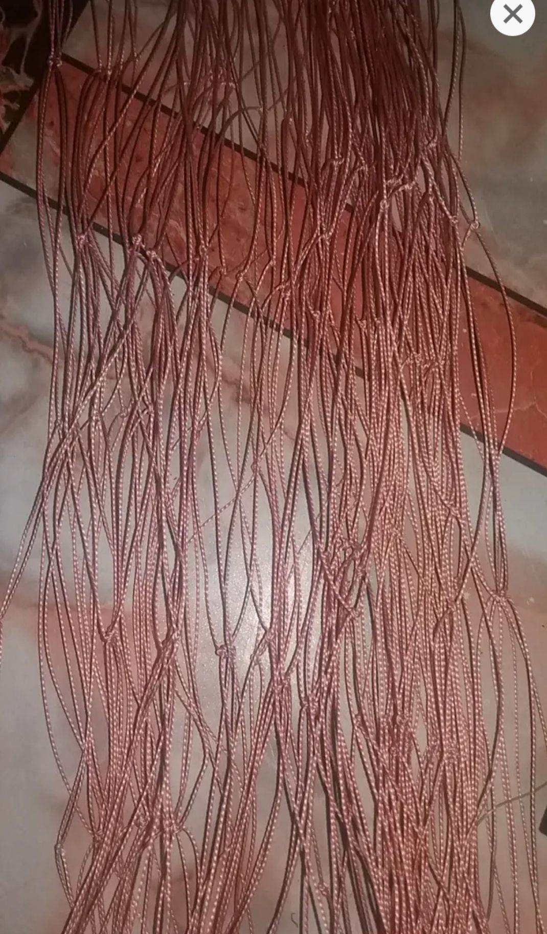 tree climbing net. 