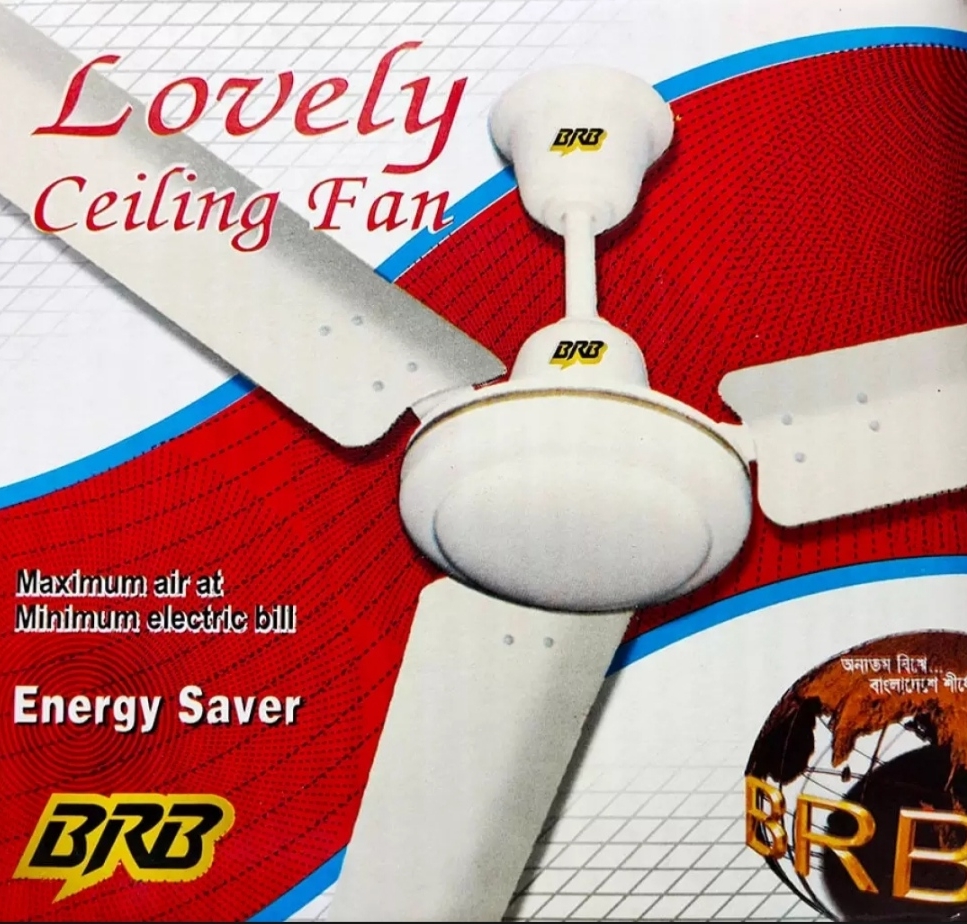 BRB lovely celling fan