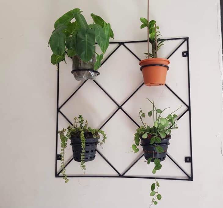 Wall mounted planters