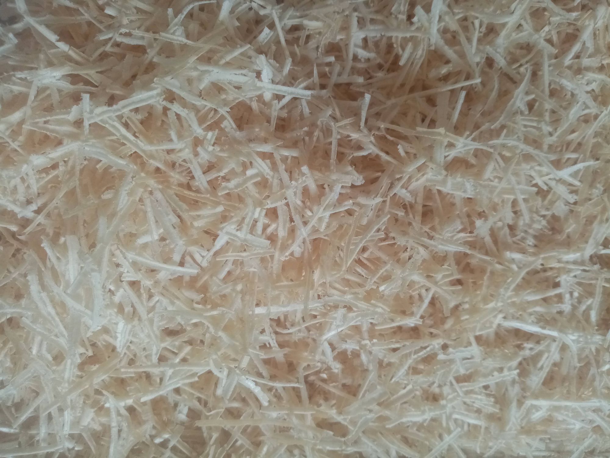 Comfortable Nest Building Materials for Birds. 