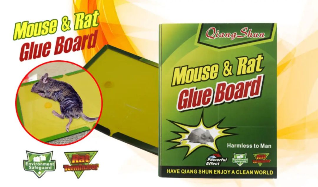 China rat eighteen traps mouse and rat-1 pice -Great to Have. Size- Big, Medium, Small.