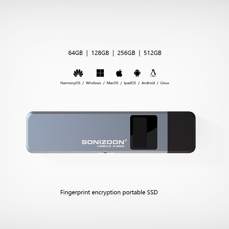 Fingerprint Encryption Portable SSD 128/256/512GBWrite Protection Function Solid State USB Flash Drive TPYEC3.2 Pen Drive USB3.2. 