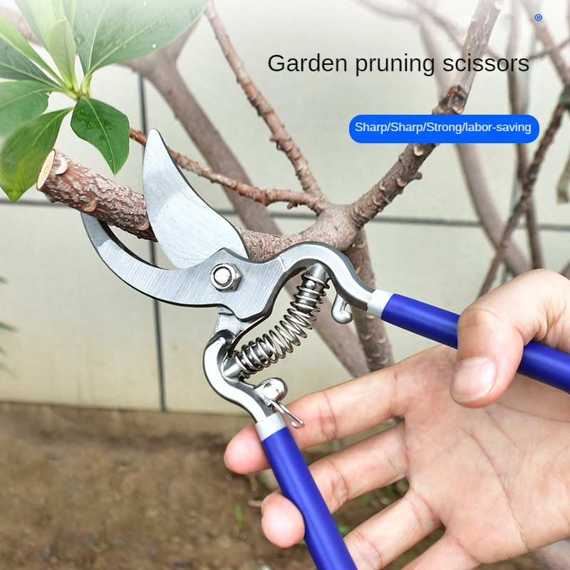 Garden scissors manual pruning SK5 suitable for pruning bonsai fruit tree branches pruning pruning gardening tools 8/10 inches. 