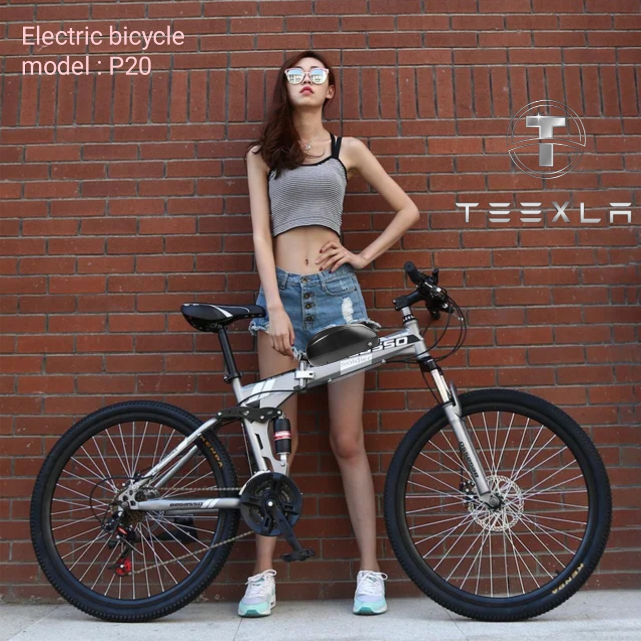 Electric bicycle foldable 26 size