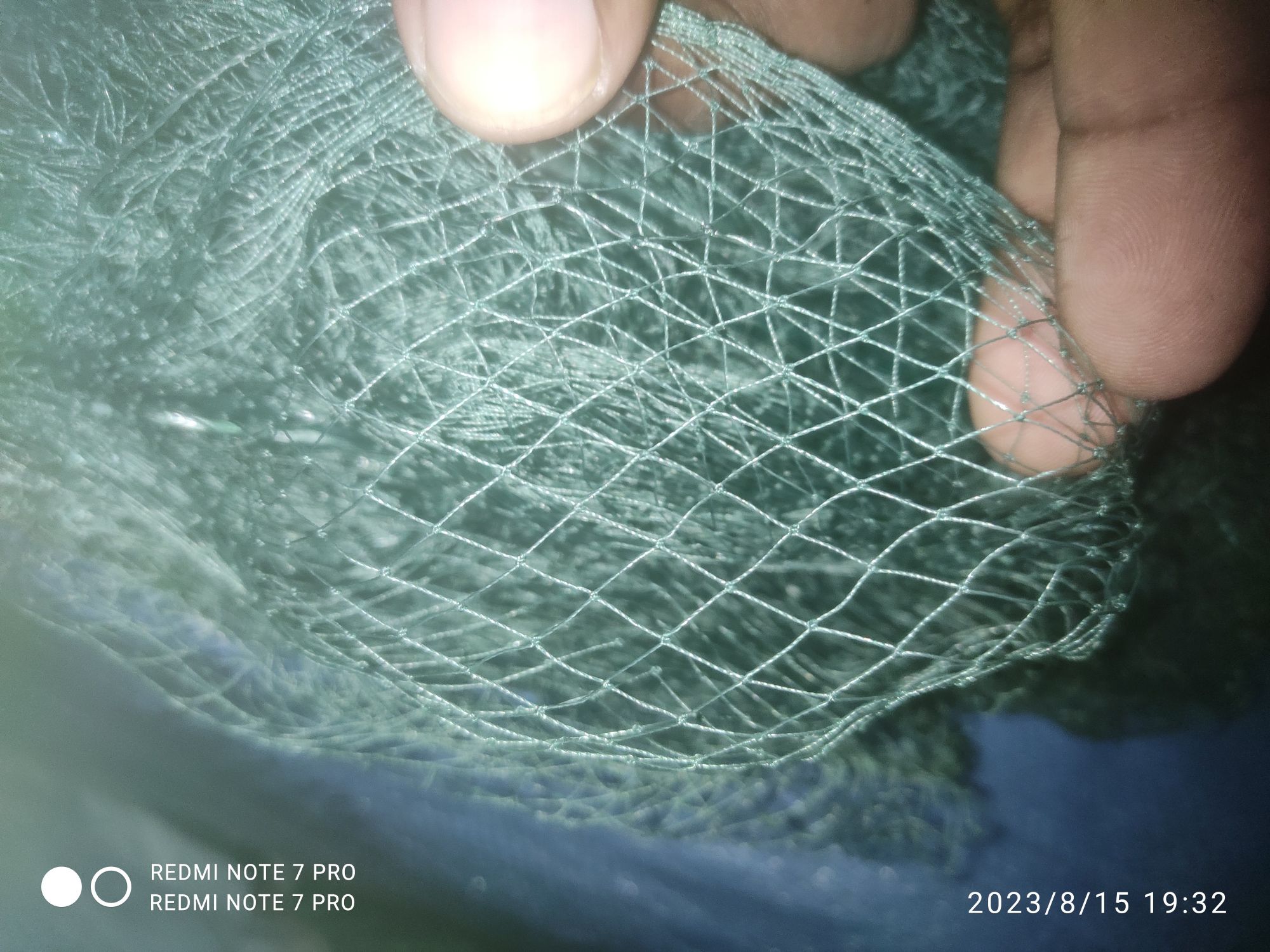 lion fish protection net 70 feet long. 