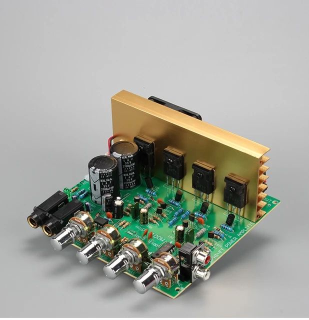 100 Watt HiFi Stereo Amplifier Circuit Board Karaoke With Microphone. 