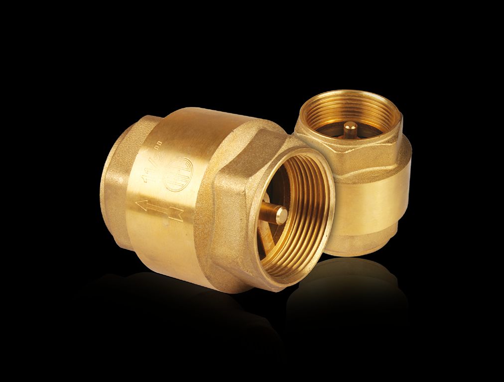 spring check valve 1/2" half inch bs swing check valve spring brass check valve motor water supply valve cp. 