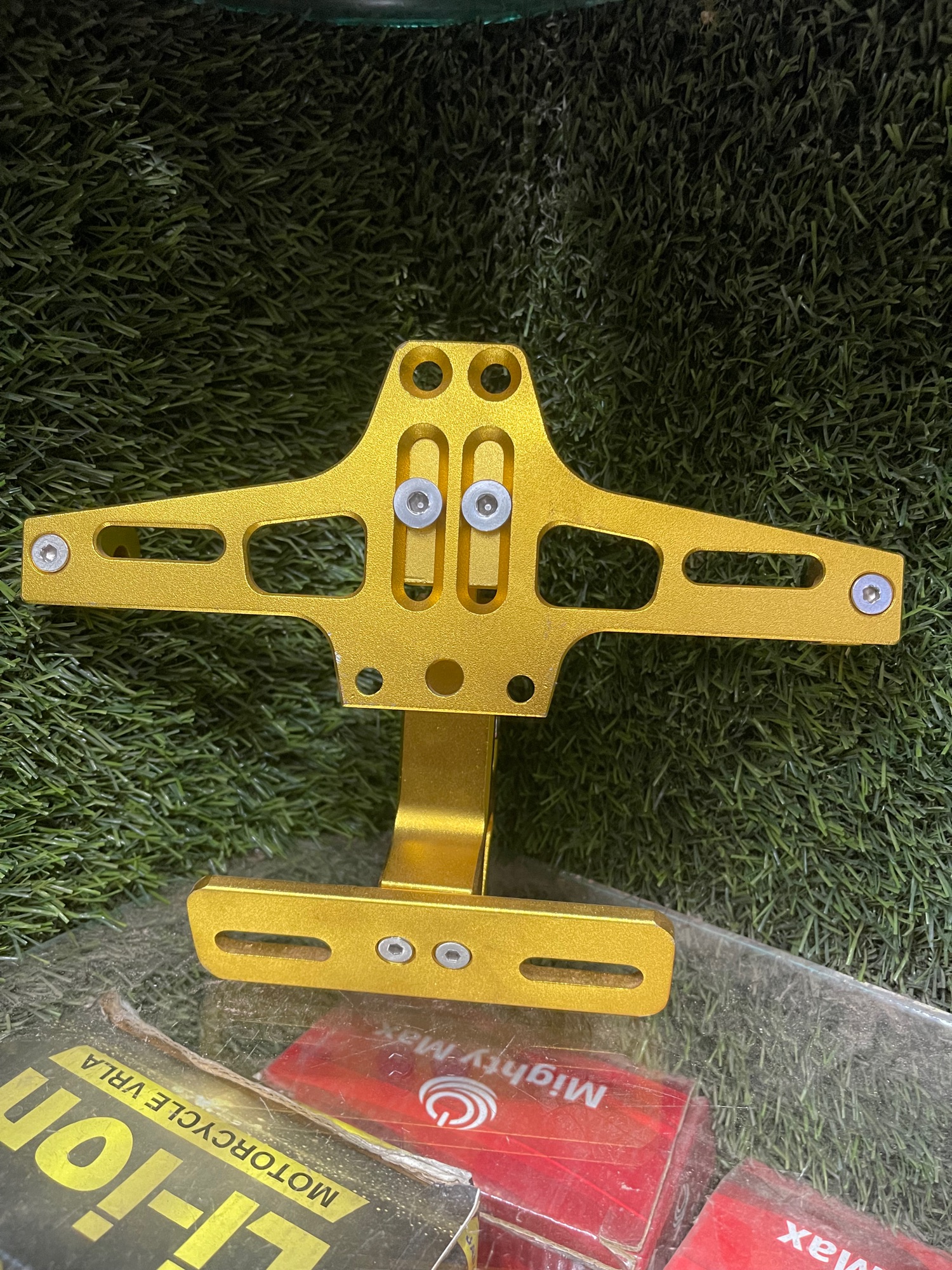 Universal number plate holder with show light