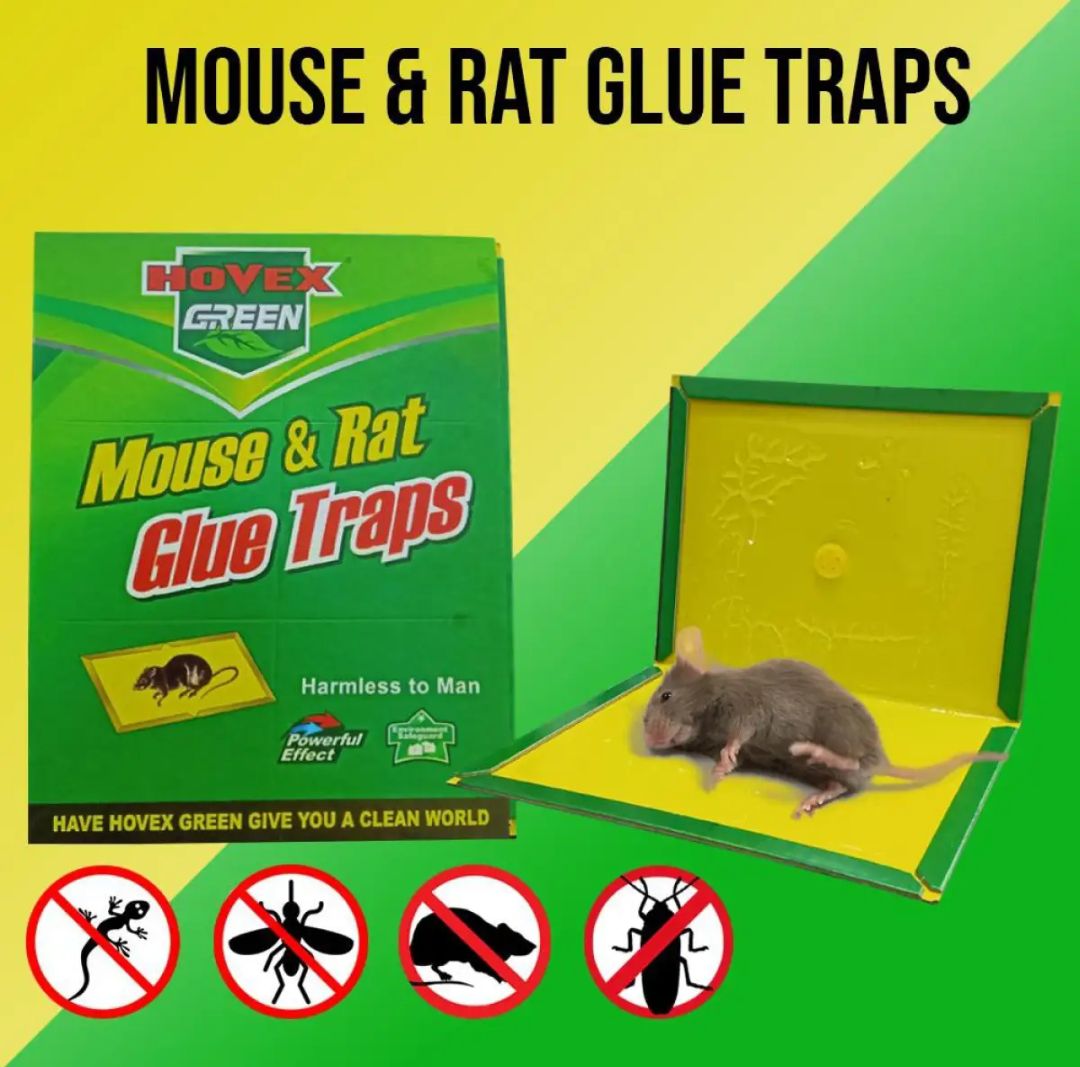 China rat eighteen traps mouse and rat-1 pice -Great to Have. Size- Big, Medium, Small.. 
