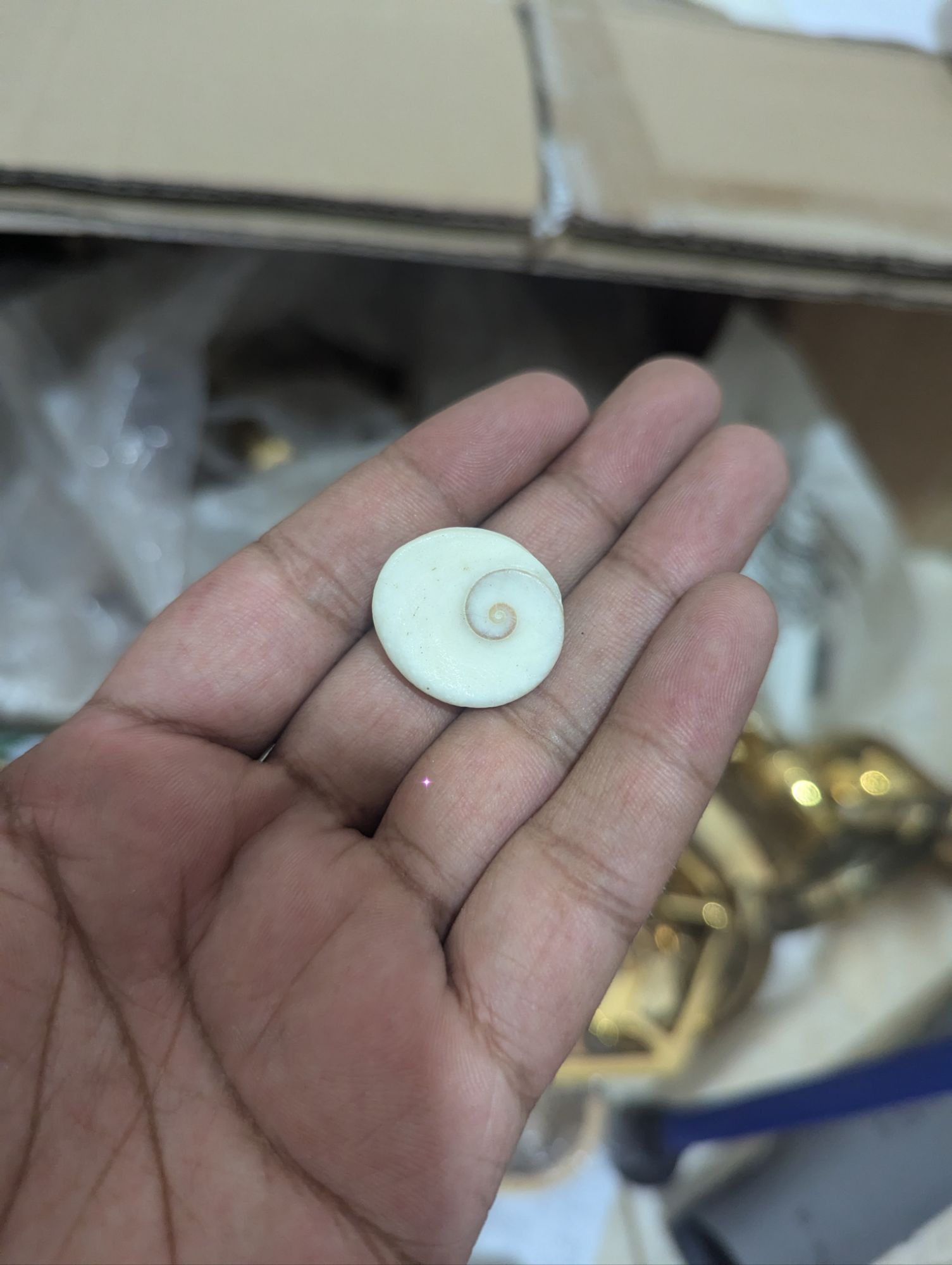 Original Gomti Chakra (15) Mix Sizes, White. 