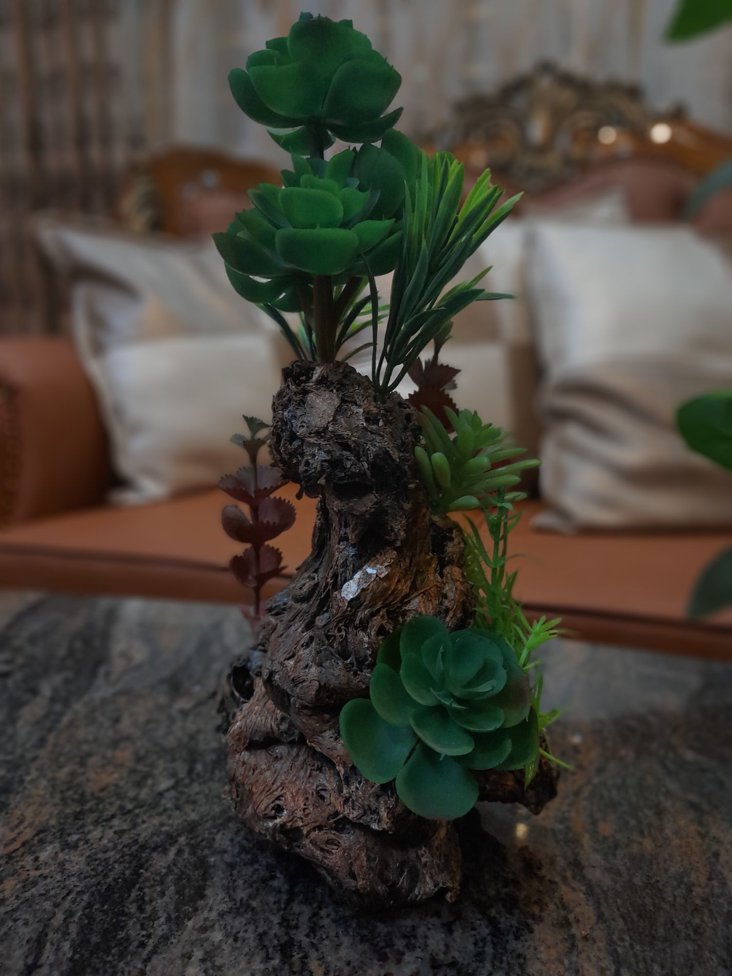 Tree bonsai. 