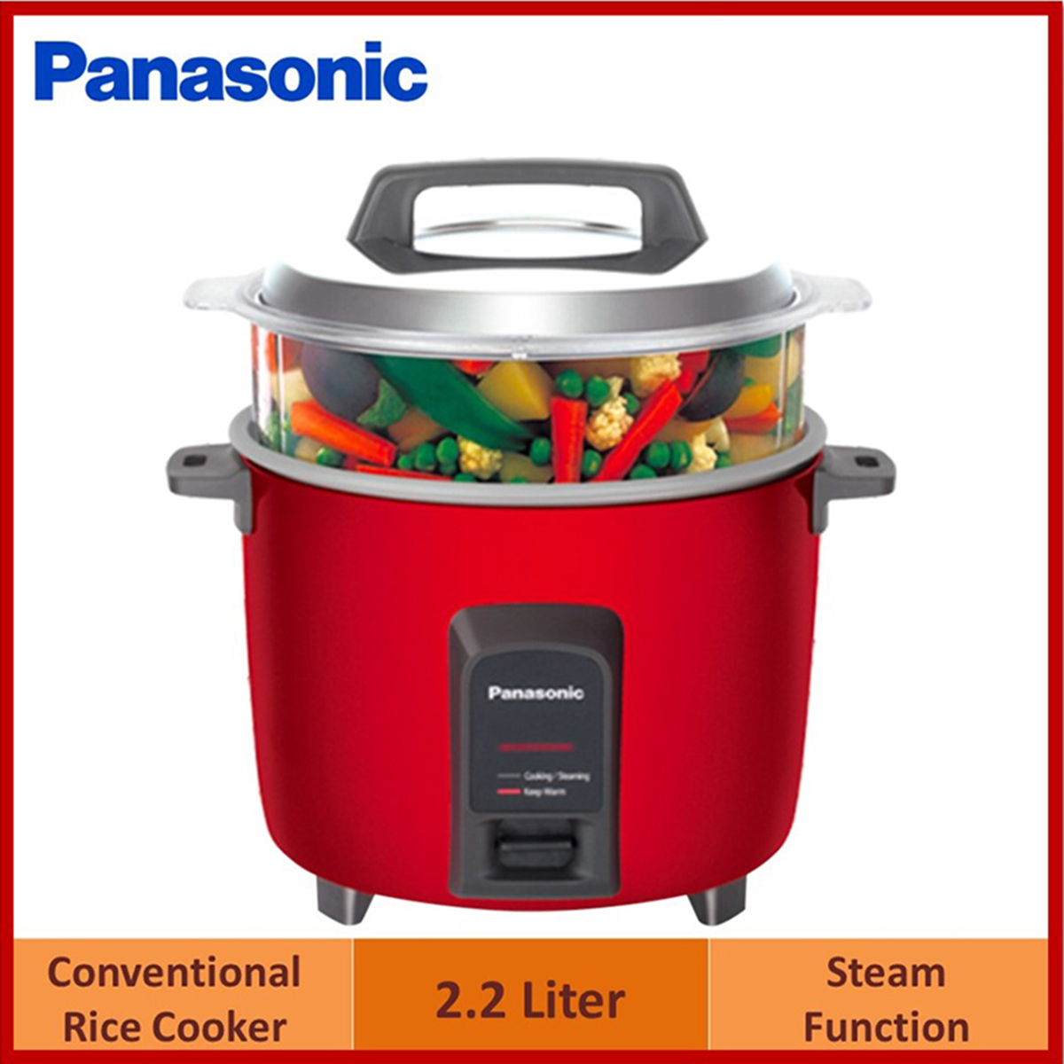 Panasonic SR-W22GS Automatic Rice Cooker with Steamer | 2.2 Liter