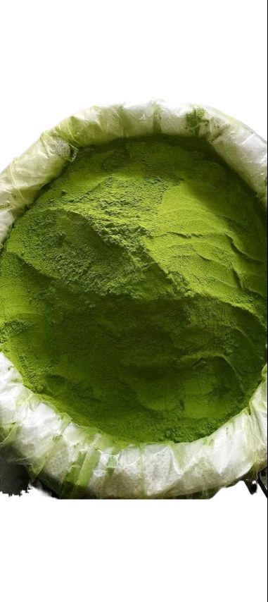 moringa powder 100 gm full fresh premium quality