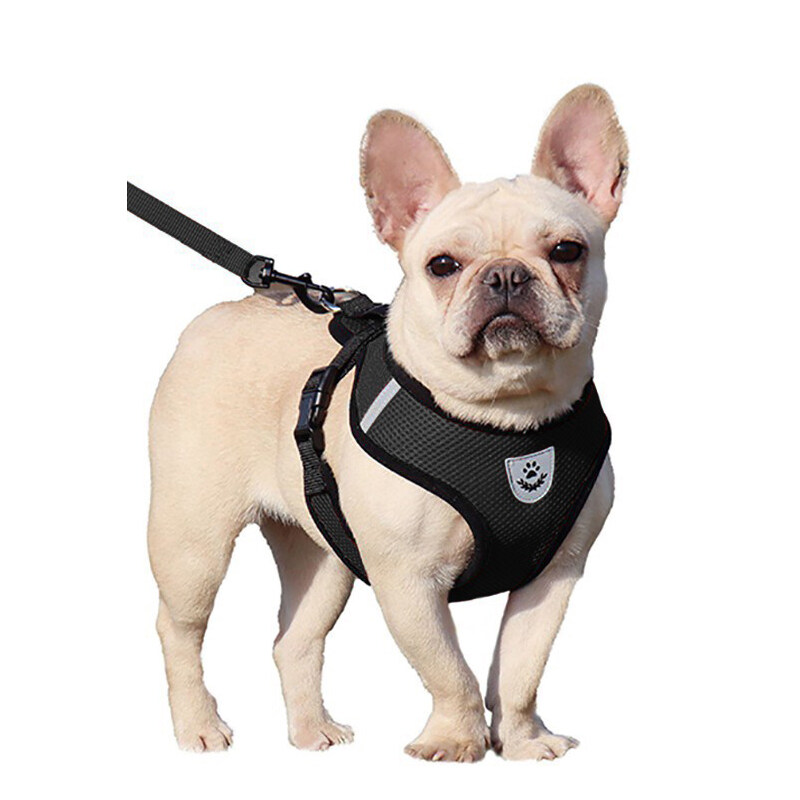 Dog Harness Leash pet cat Mesh Collar Leash Strap Complete Set Pet