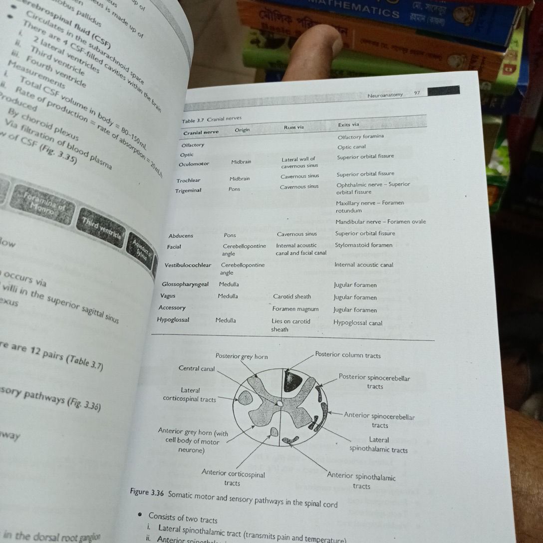 REVISION NOTES FOR THE MRCOG PART 1. 