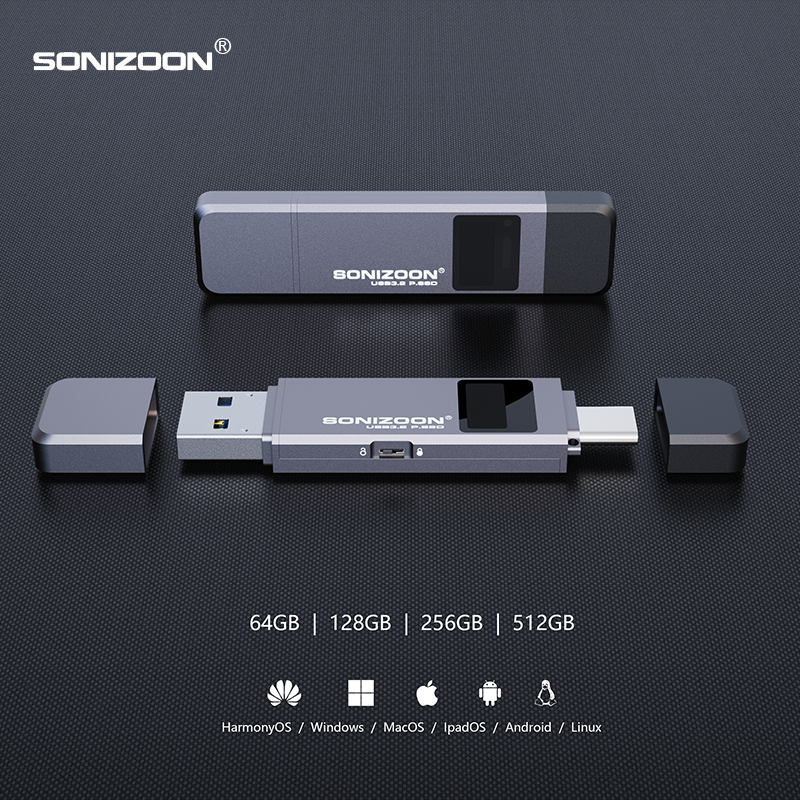 Fingerprint Encryption Portable SSD 128/256/512GBWrite Protection Function Solid State USB Flash Drive TPYEC3.2 Pen Drive USB3.2. 