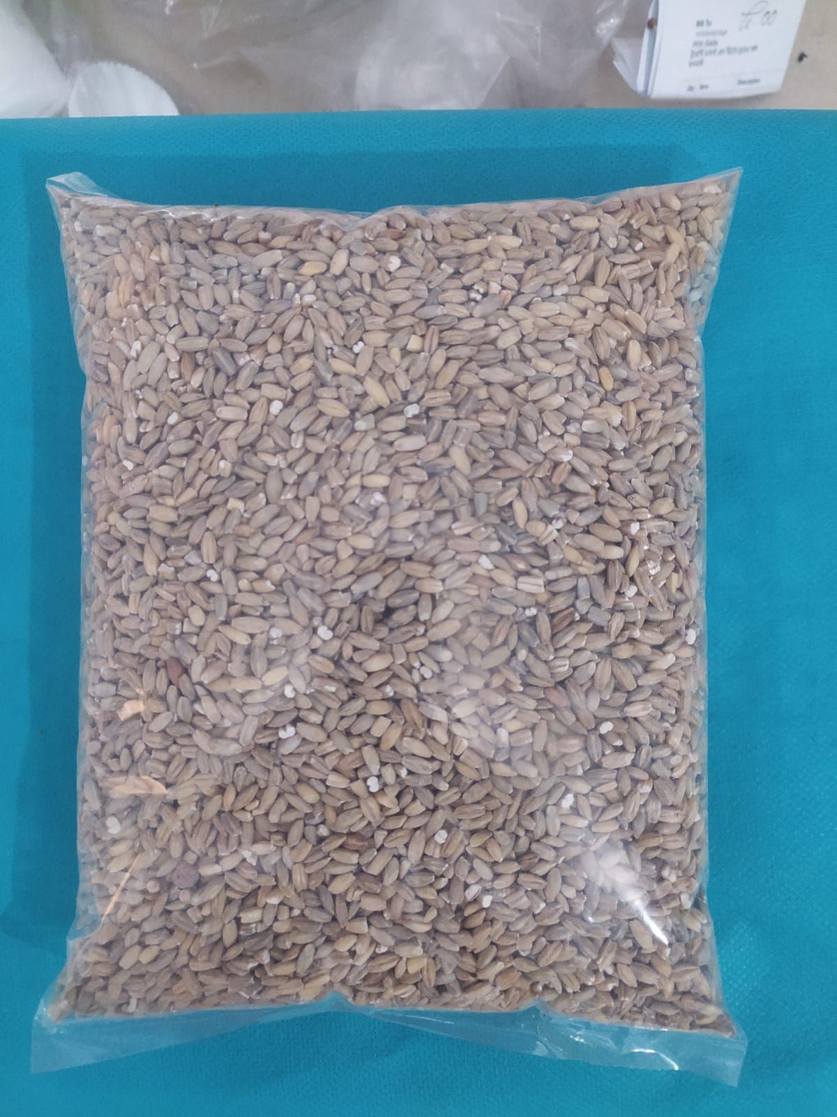 Barley grains 1kg