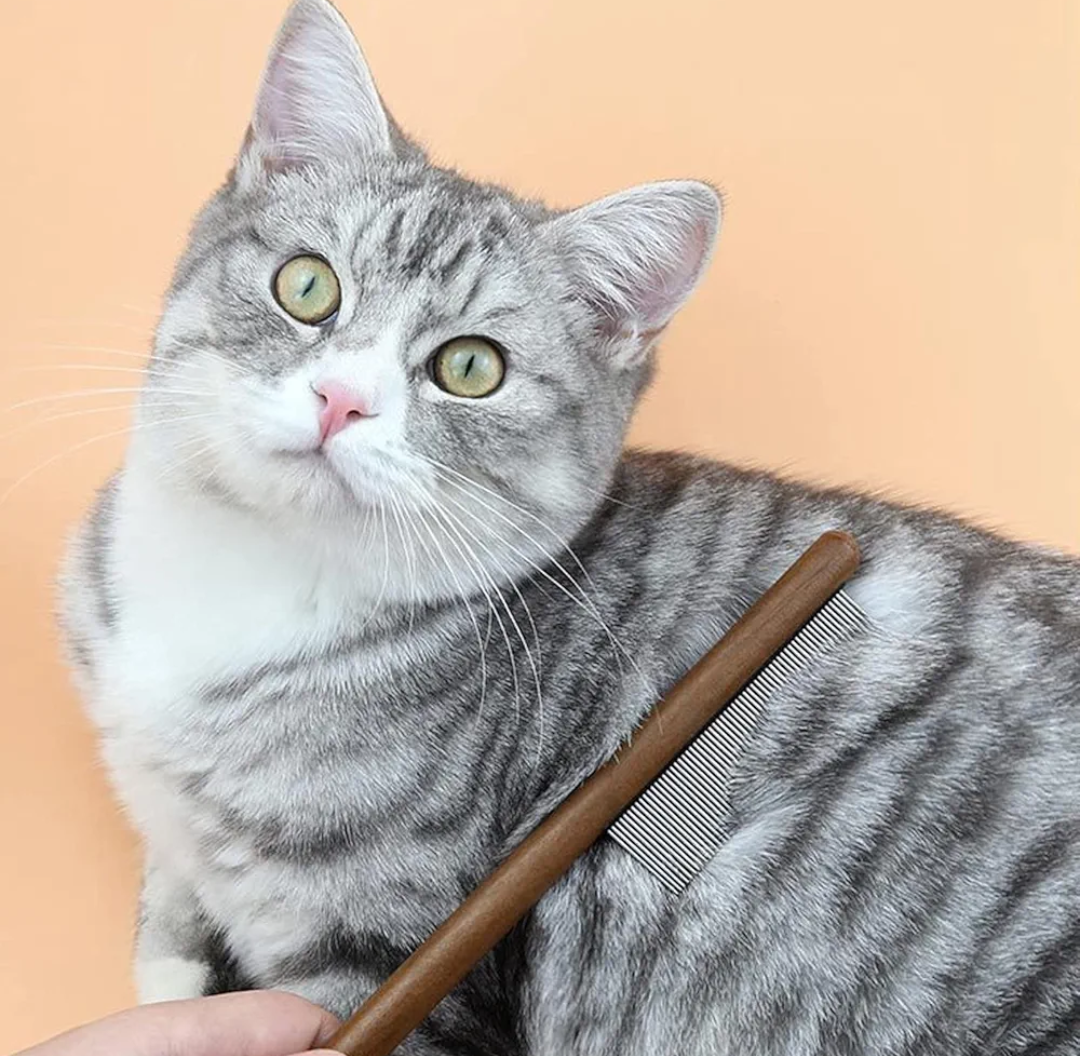 Pet Hair Removal Comb Comes with a Wooden Handle Walnut + Stainless Steel