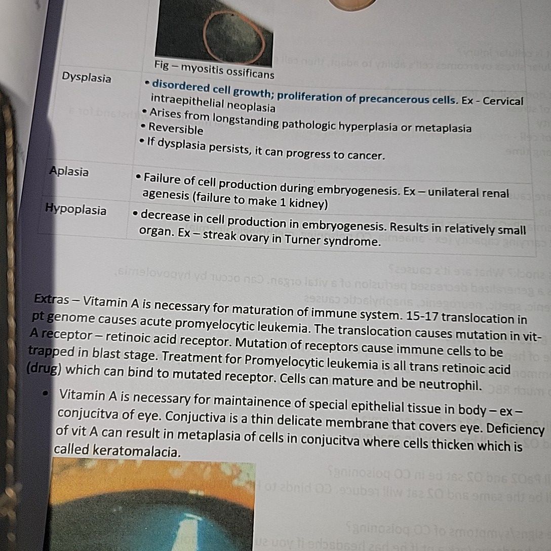 Pathoma Lecture Notes. 