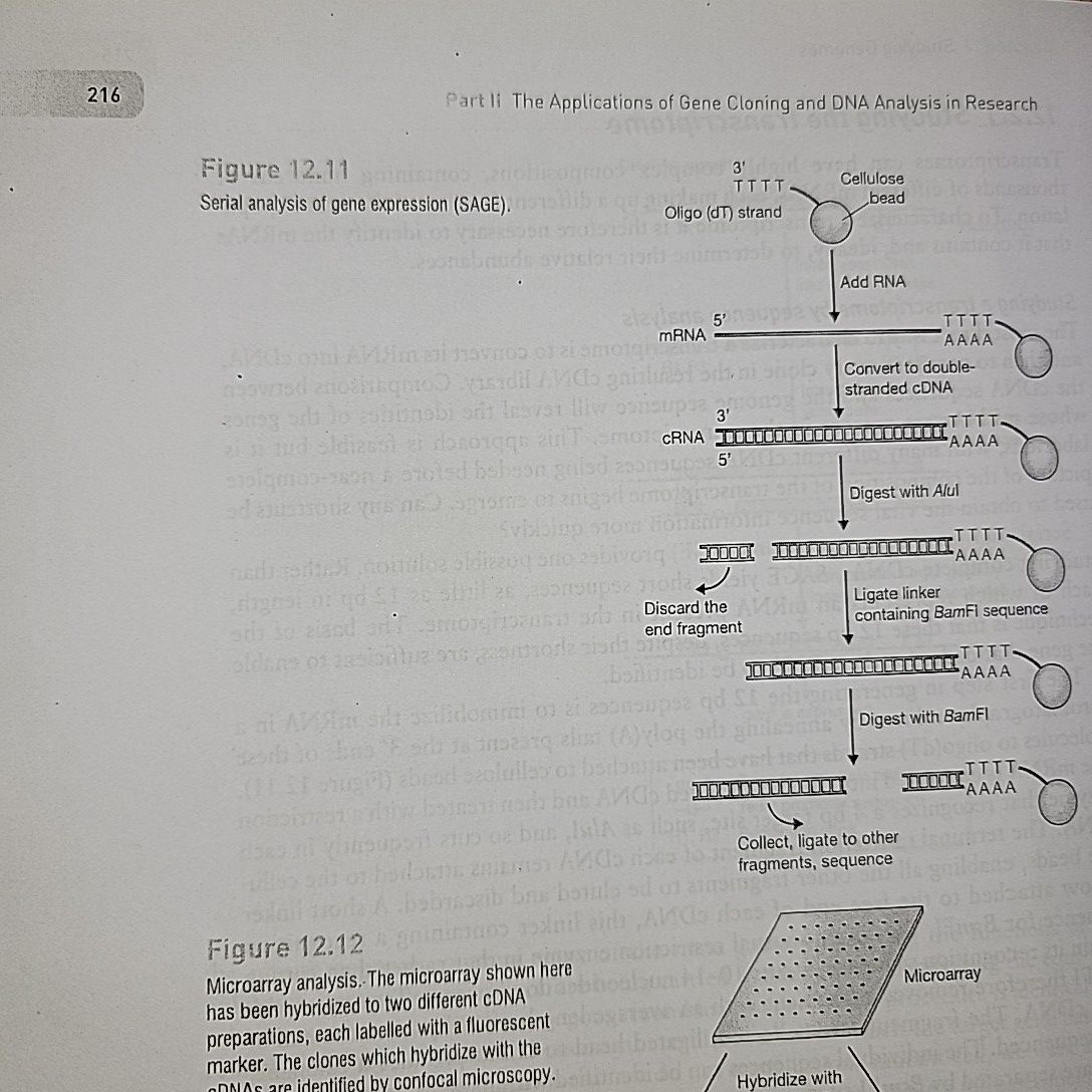 Gene Cloning & Data Analysis By T. A. Brown. 