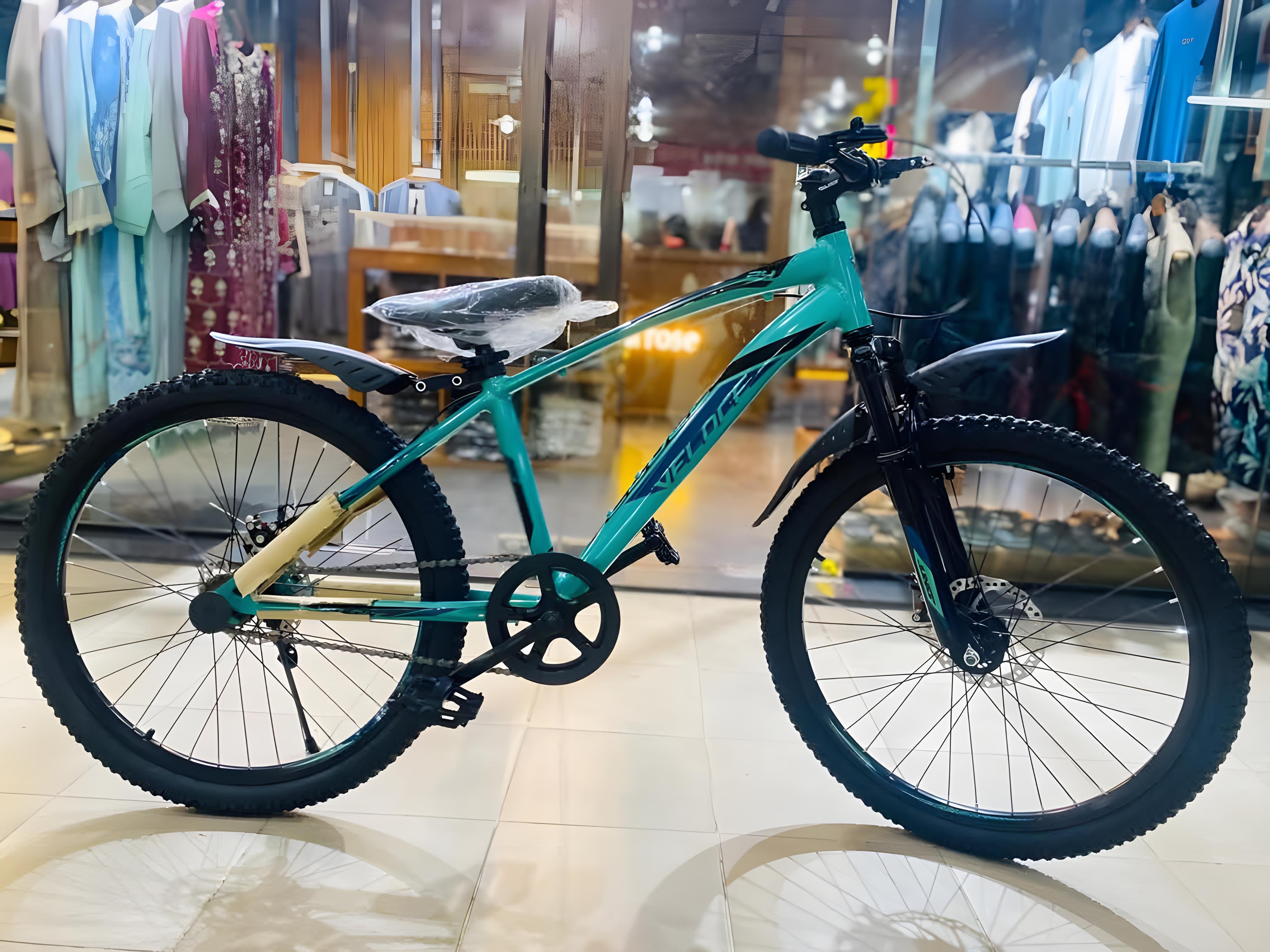 26 inchi 21 Speed Gear Cycle With Suspension Lockout fork High Rim Coloring Fat Spoke With Shimano Parts